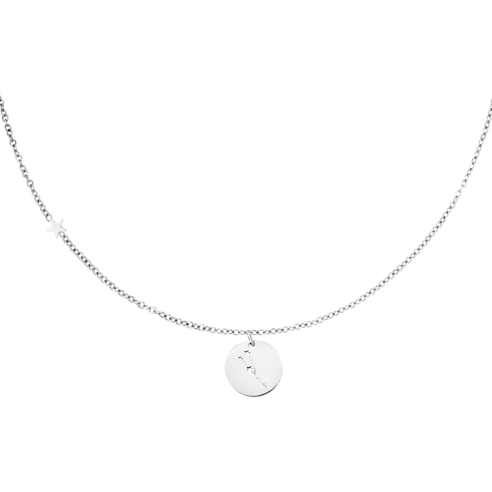 Collier signe du zodiaque Bélier Argenté Acier inoxydable h5Image4